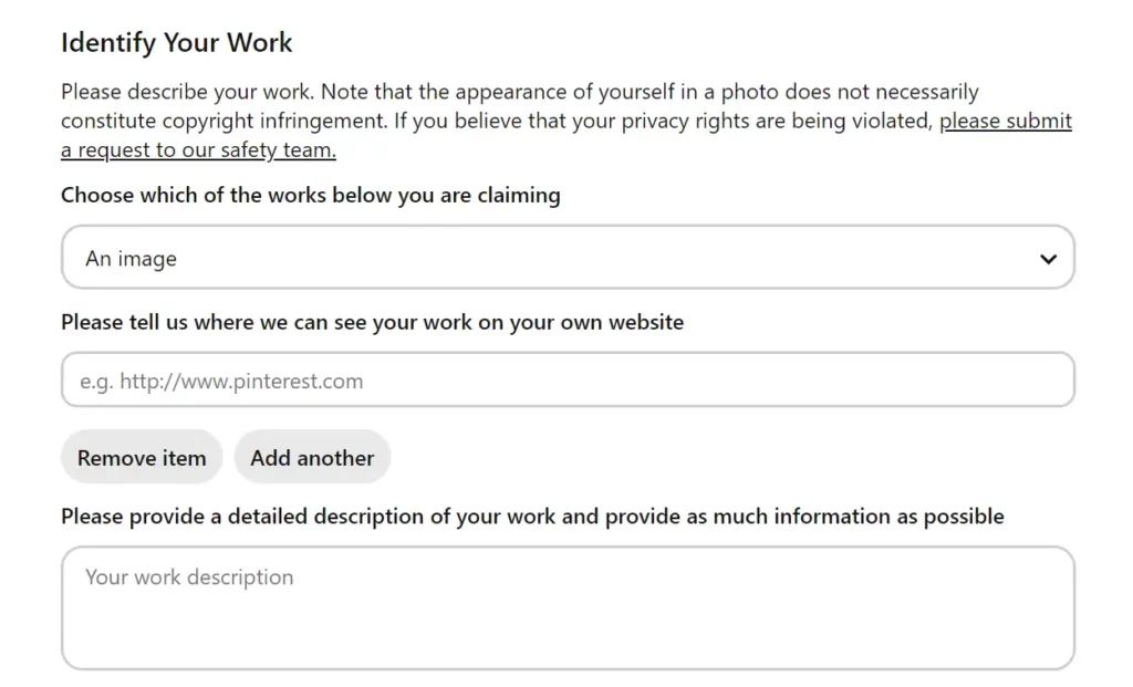 Screenshot of the section 'identify your work' used to describe the original work that is being infringed.